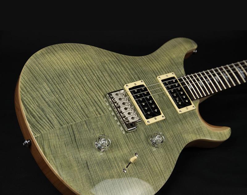 PRS - SE Custom 24